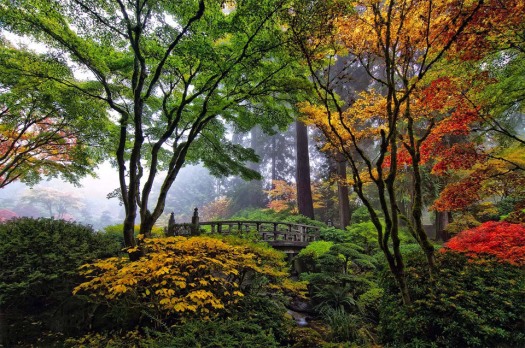 bridge-in-japanese-garden-portland