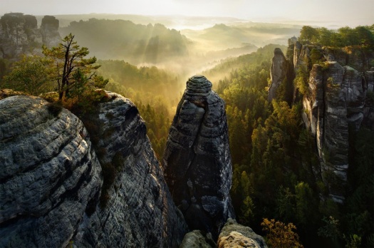 rock-forest-germany